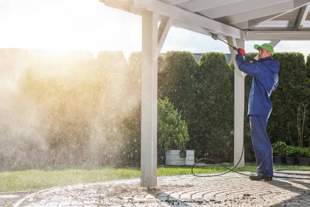 Best Graffiti Removal  in Egan, LA